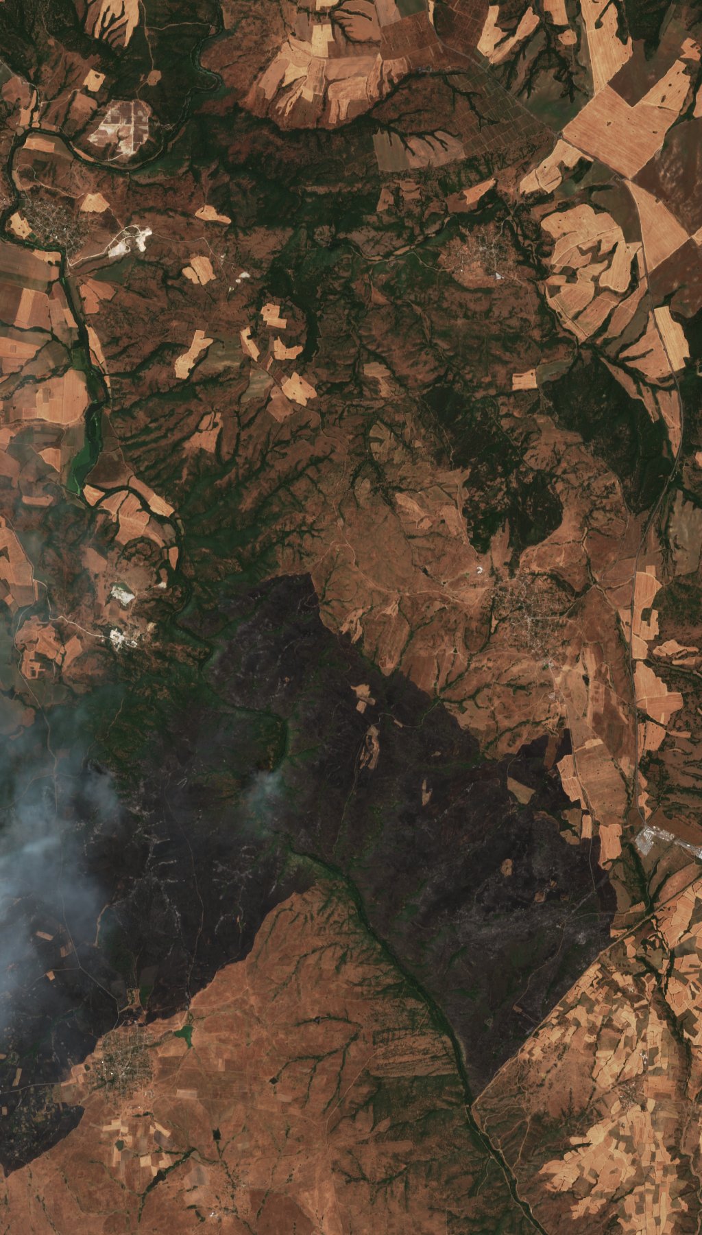 The area after the fire, July 28, 2025