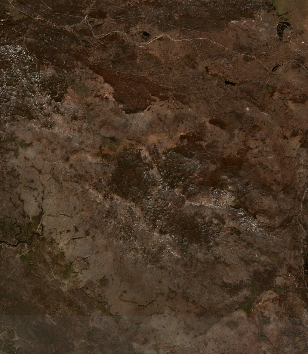 The area before the fire, April 2, 2020