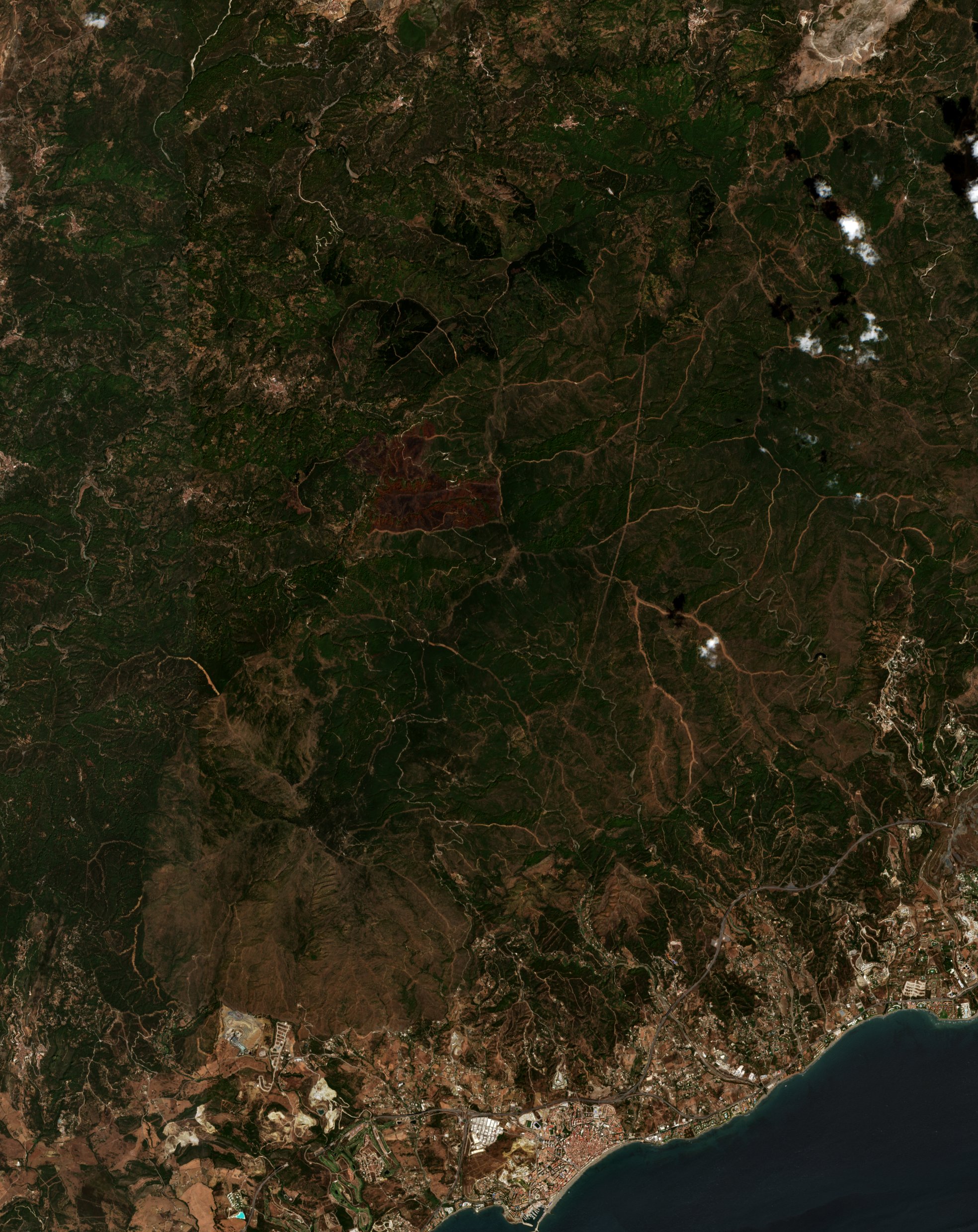 Sentinel-2 images