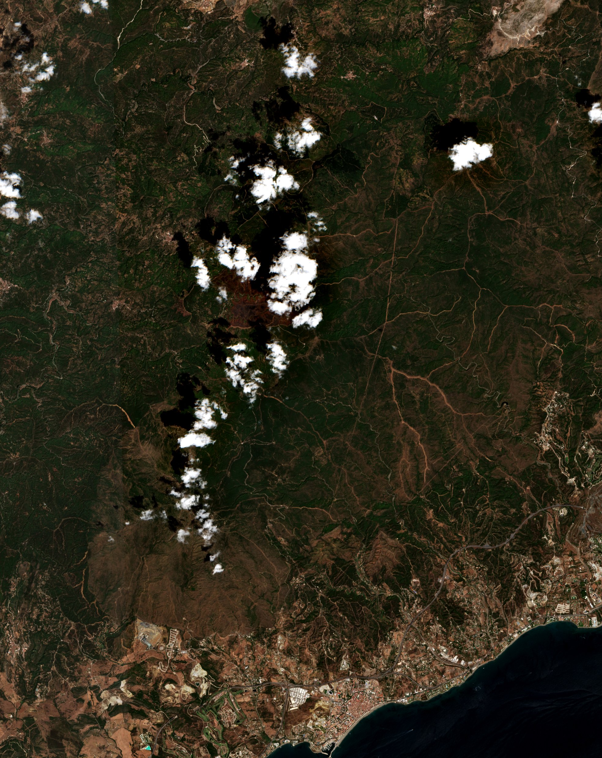 The area before the fire, September 3, 2021