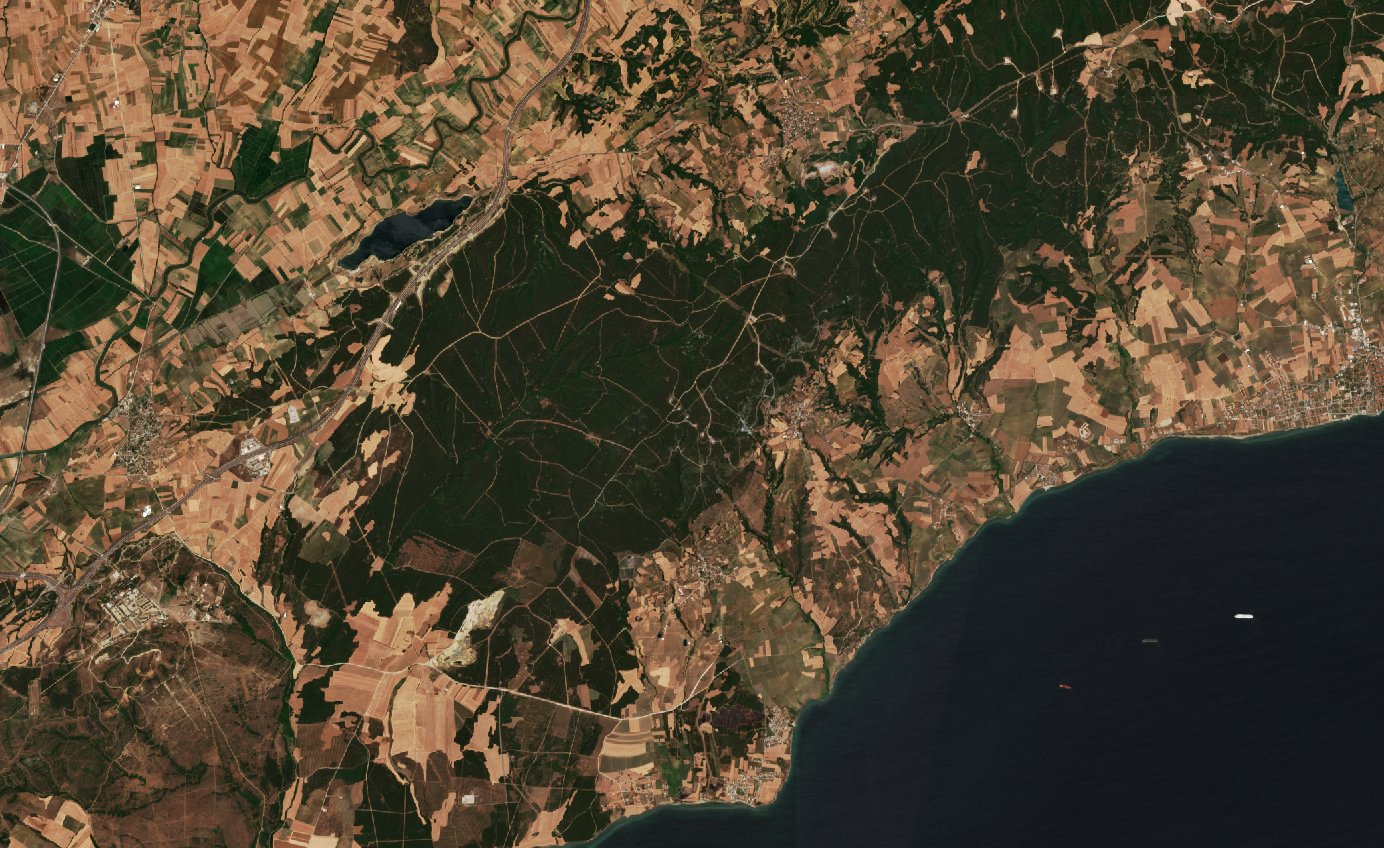The area before the fire, July 5, 2025