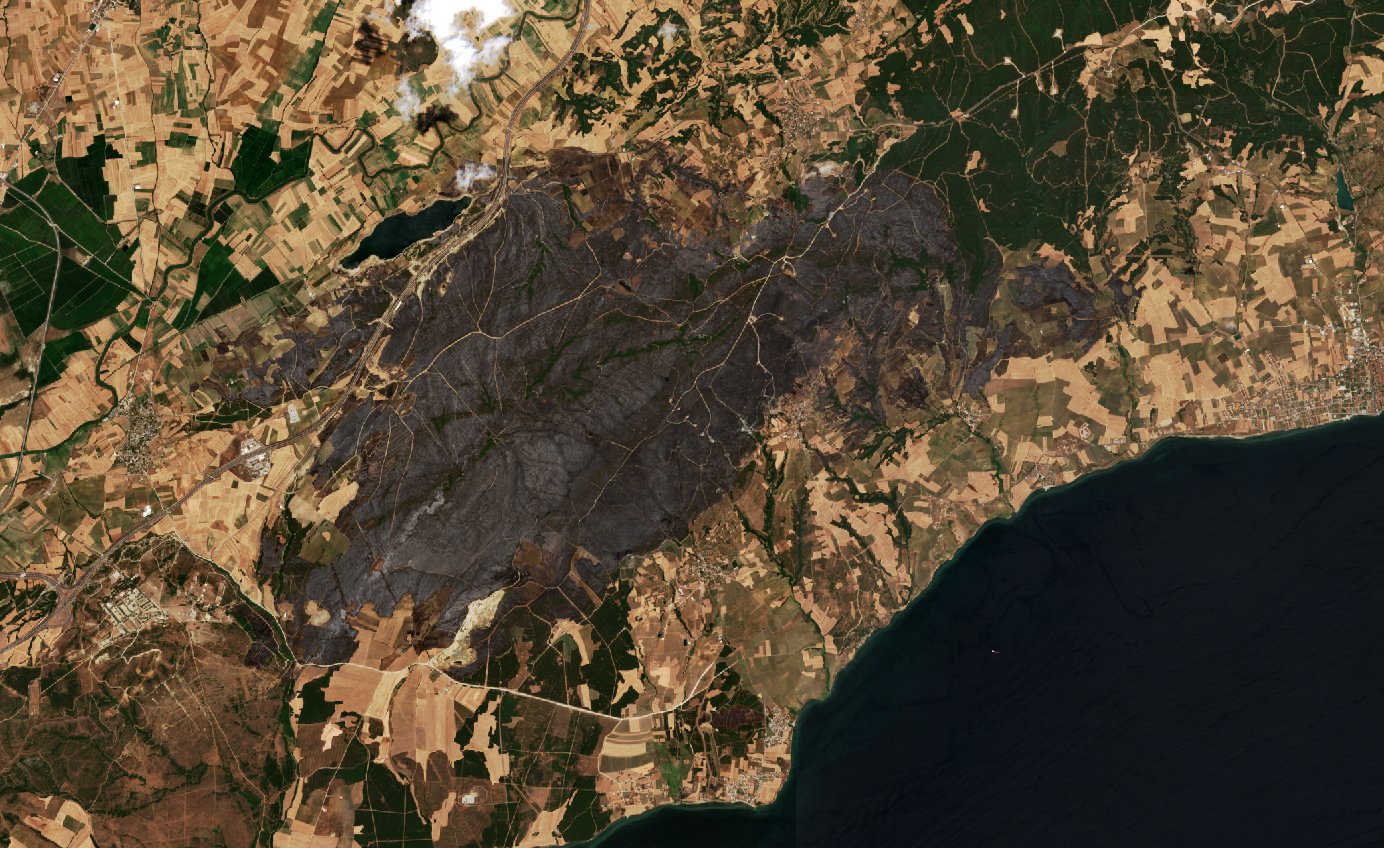 The area after the fire, July 20, 2025