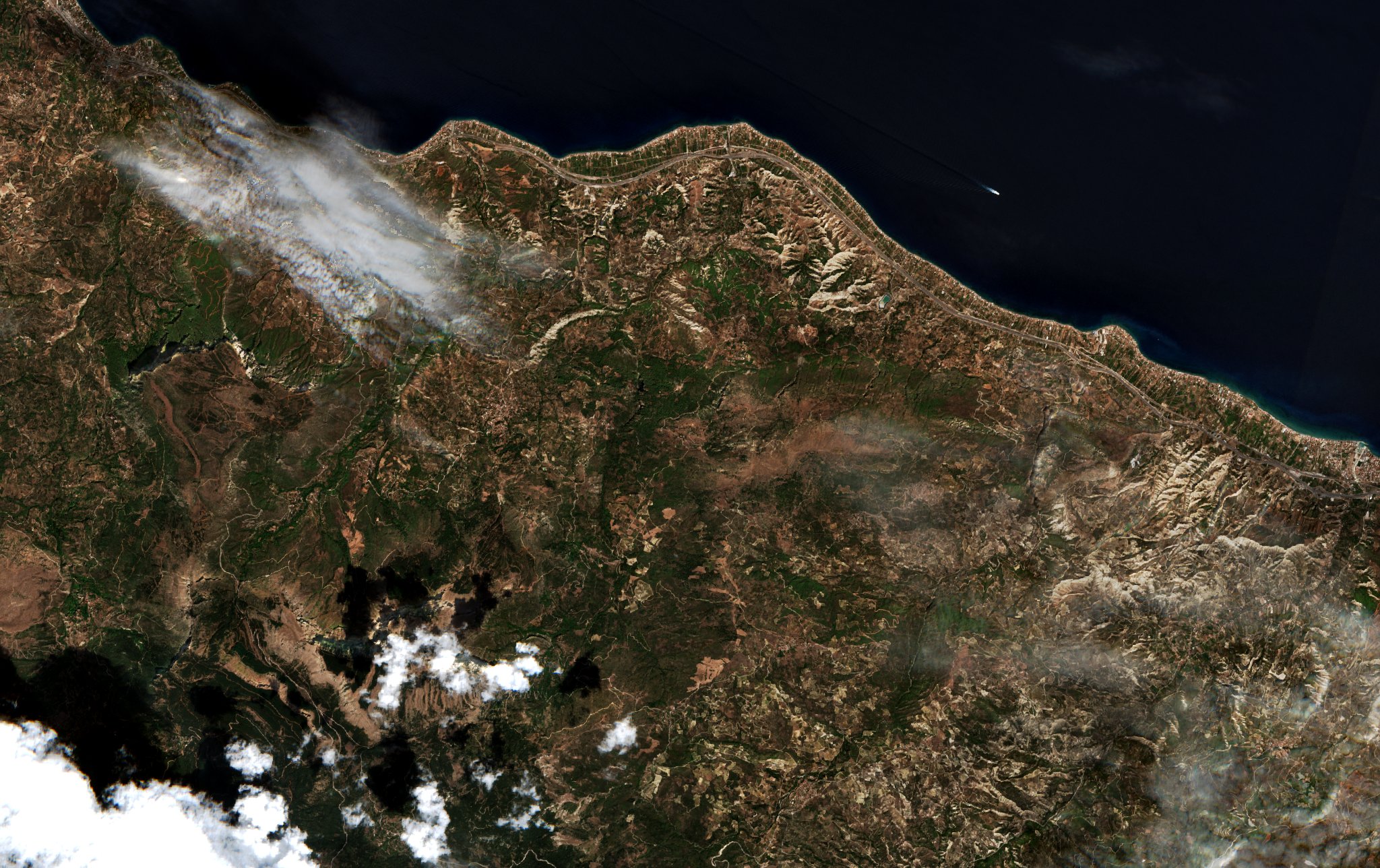 Sentinel-2 images