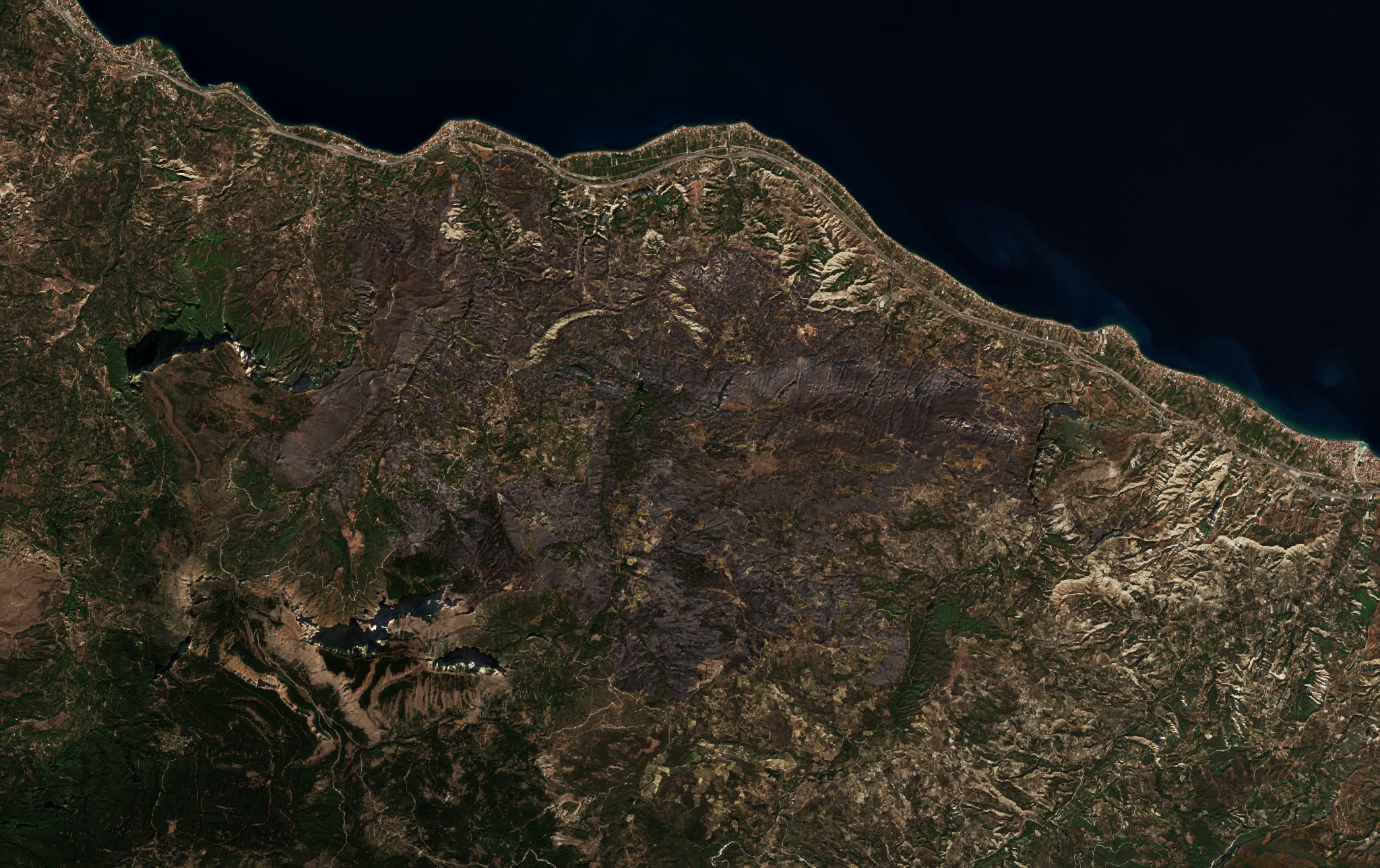 The area after the fire, October 4, 2024