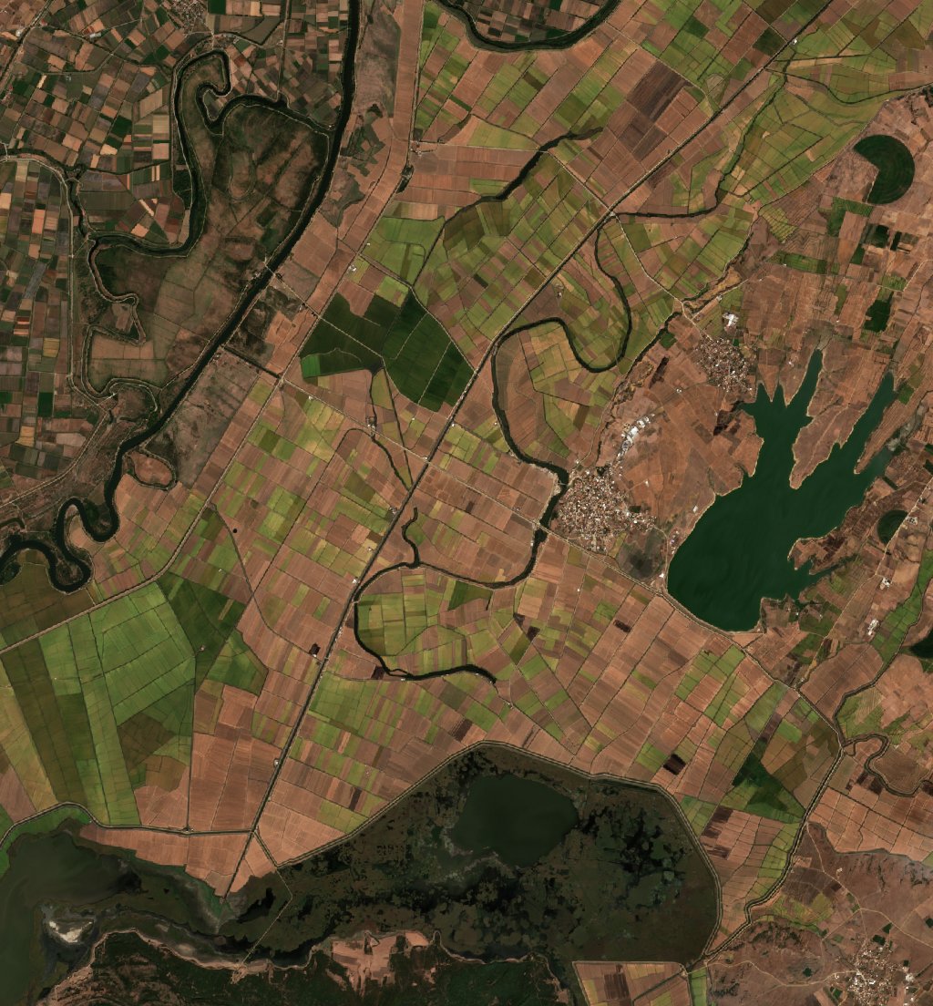 The area after the fire, October 5, 2026