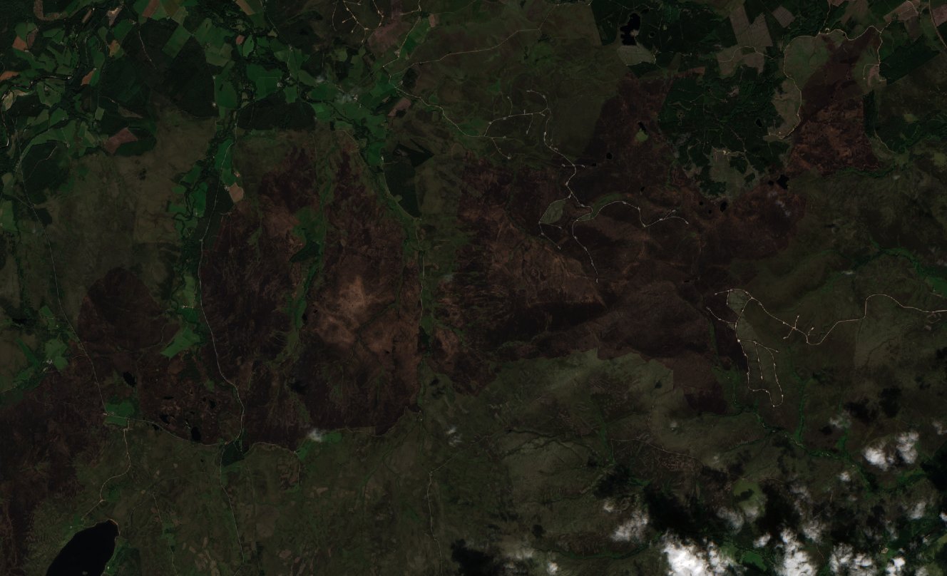 The area before the fire, August 2, 2025