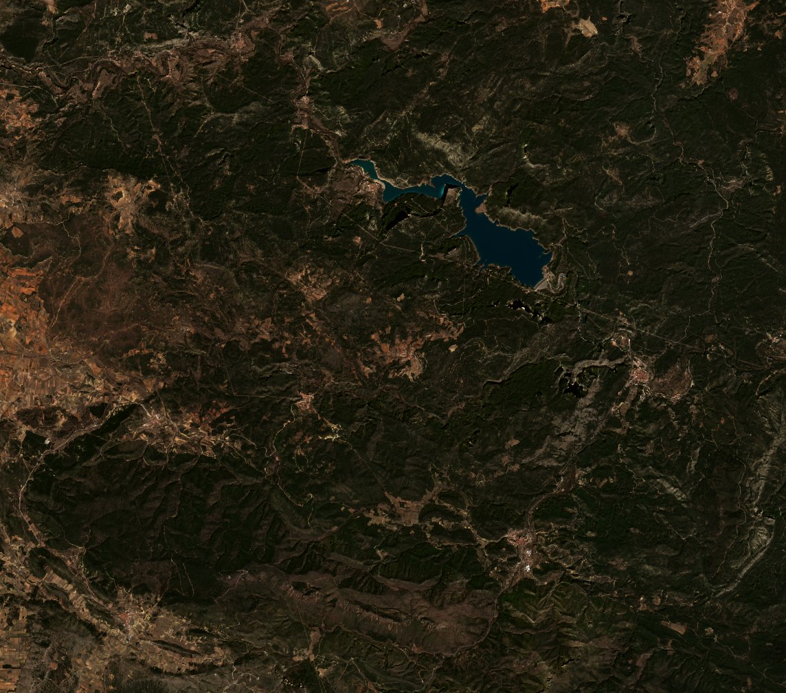 The area before the fire, March 16, 2023
