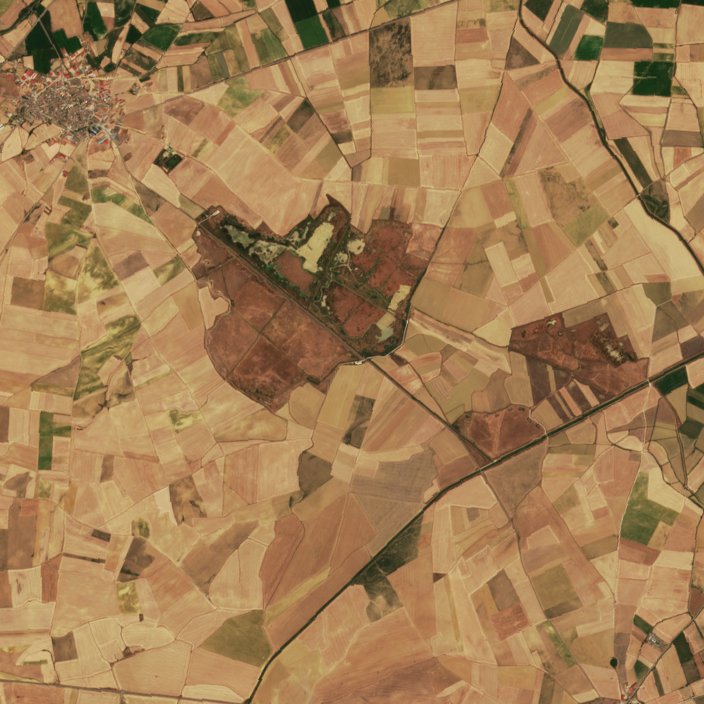 The area before the fire, July 26, 2026