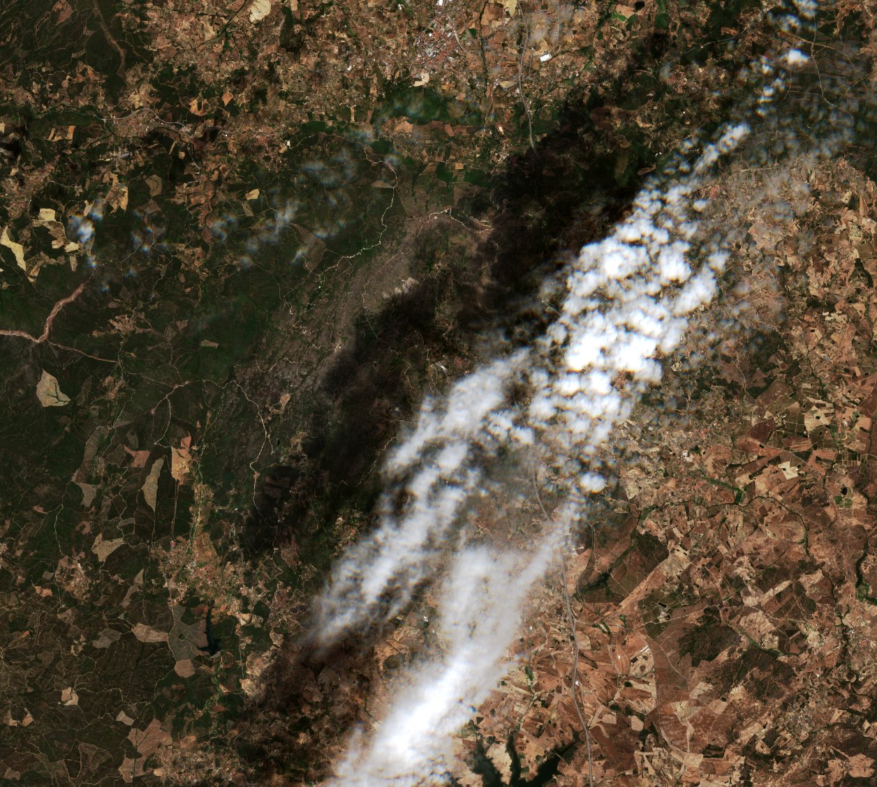 Sentinel-2 images