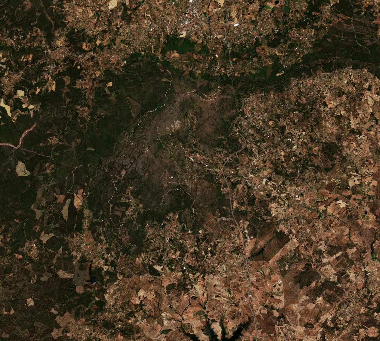 The area before the fire, August 3, 2017
