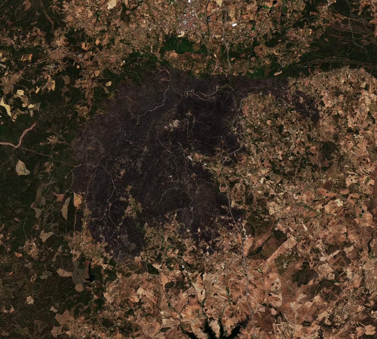 The area after the fire, August 18, 2017