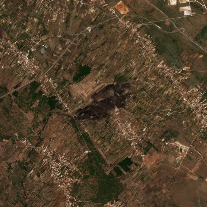 The area after the fire, August 19, 2026