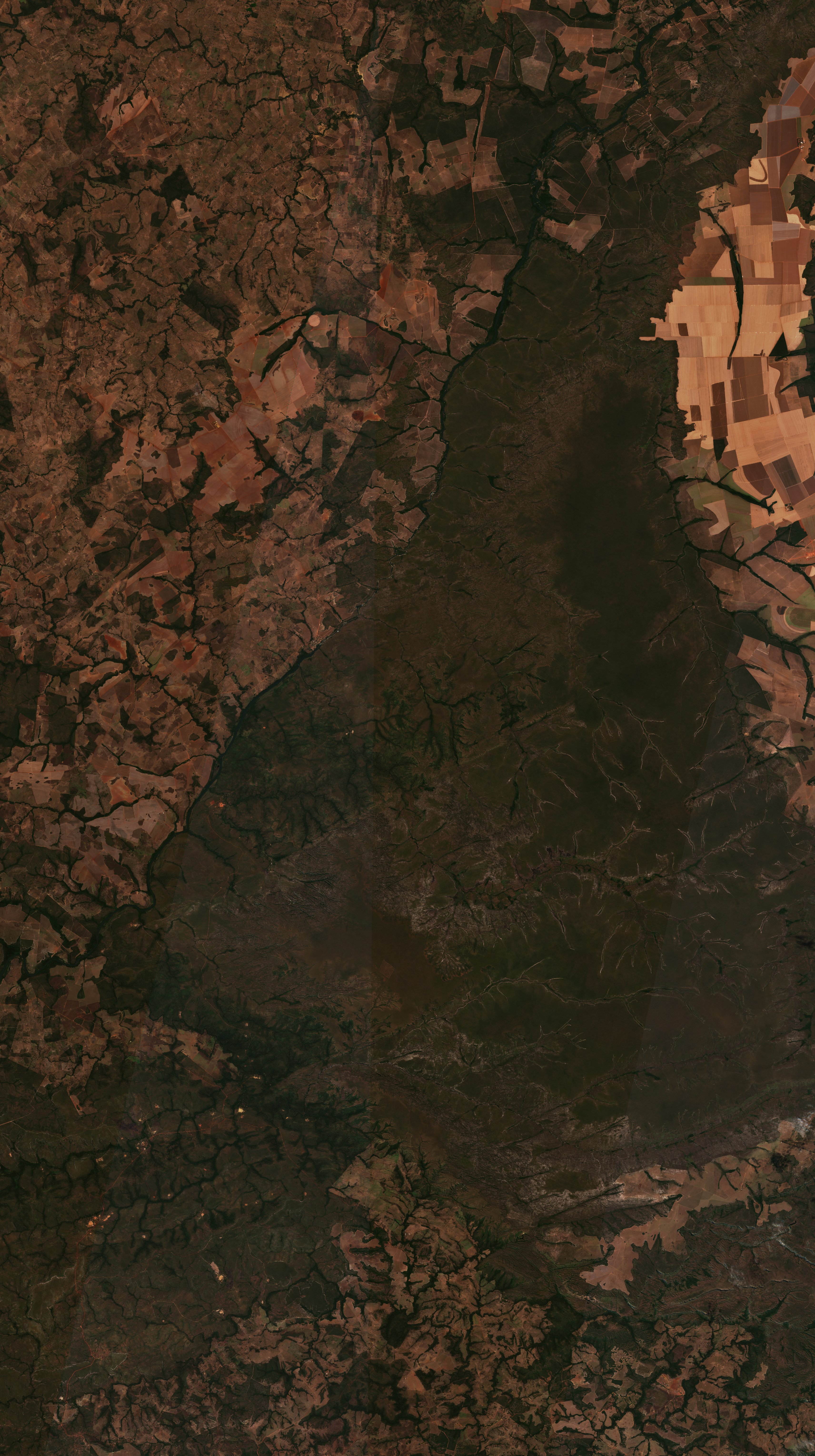 The area before the fire, July 28, 2026