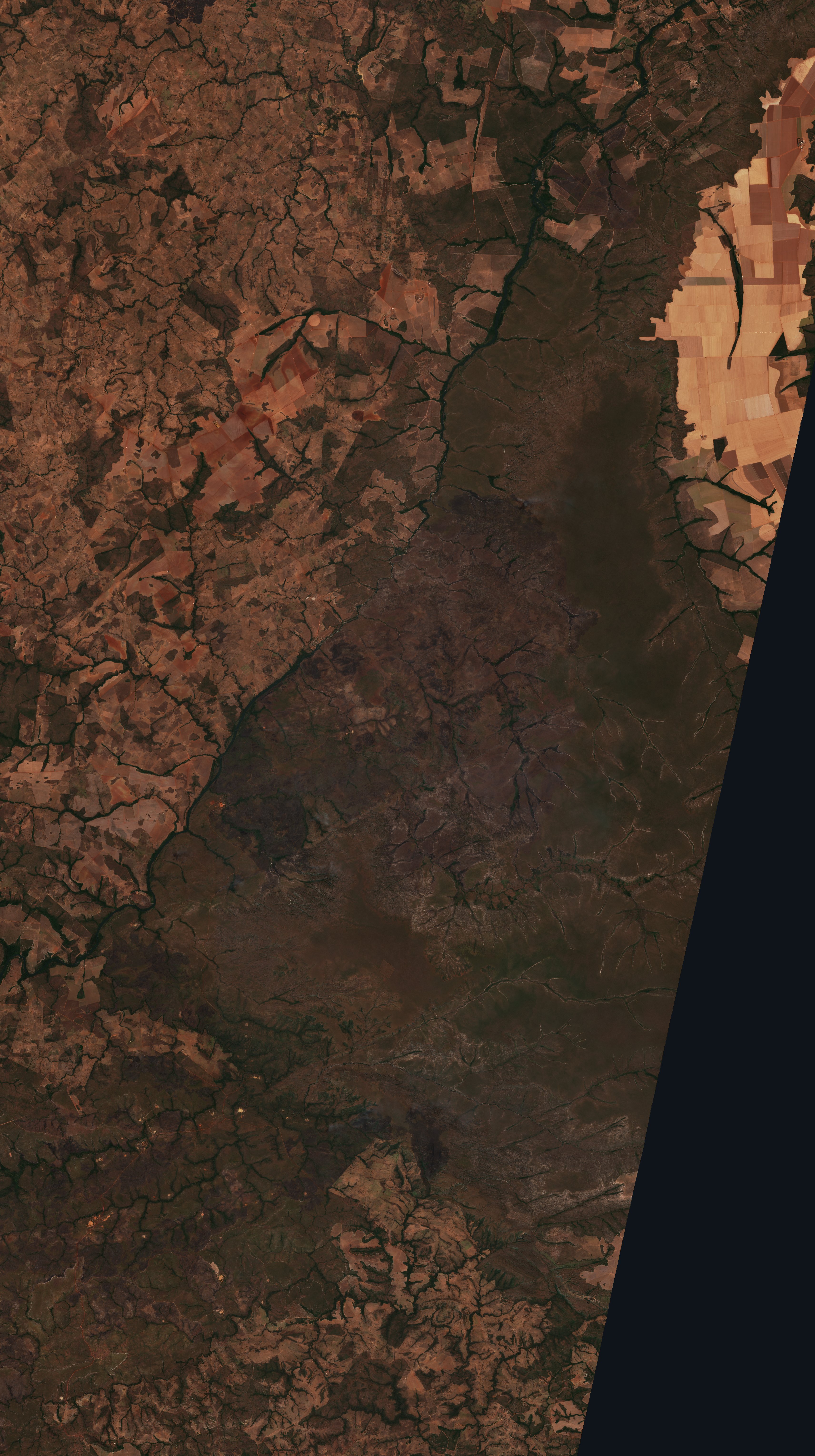 The area after the fire, August 20, 2026