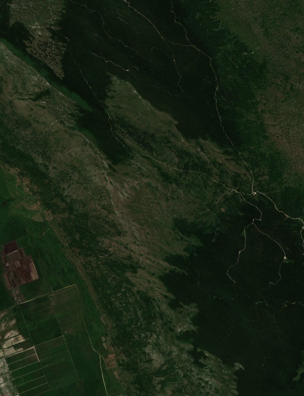 Sentinel-2 images