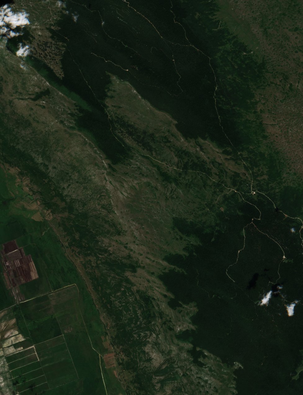 The area before the fire, July 12, 2017