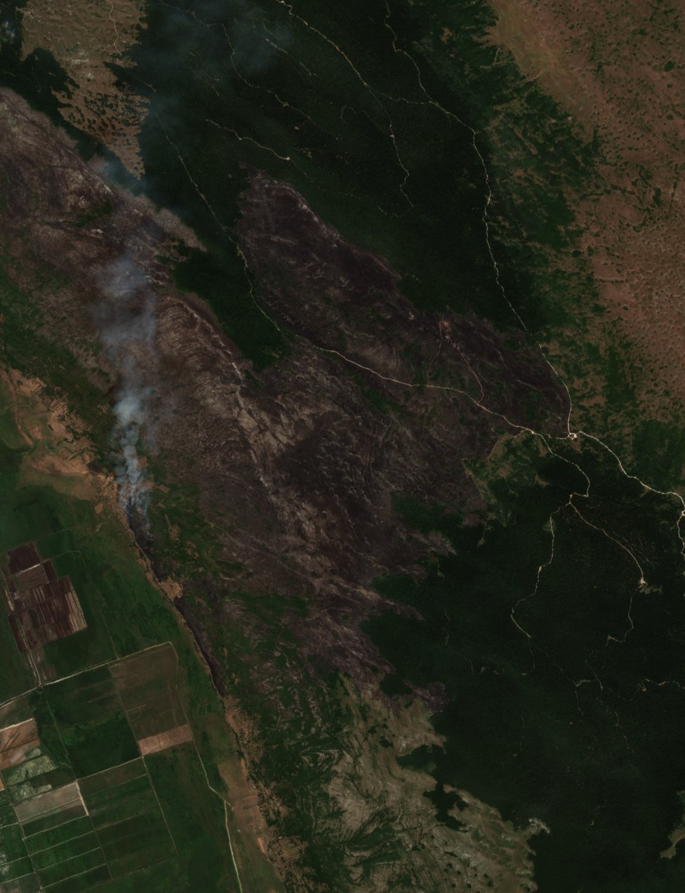 The area after the fire, August 11, 2017