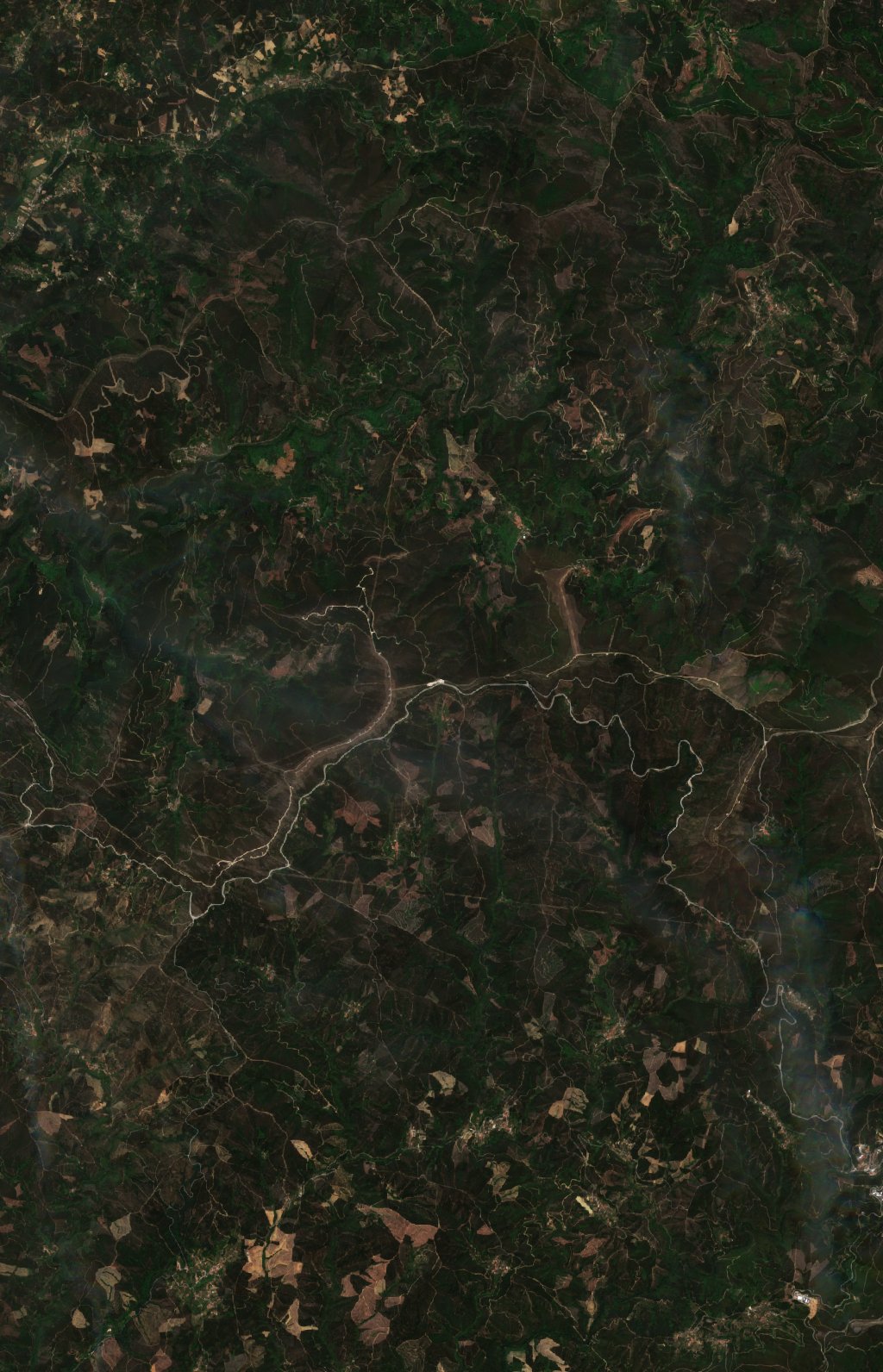 Sentinel-2 images