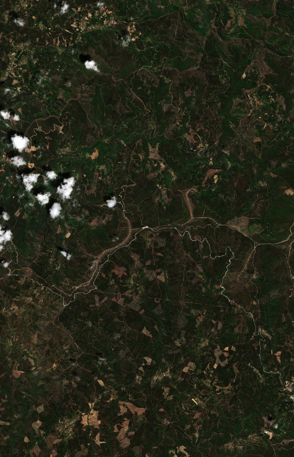 The area before the fire, June 4, 2017
