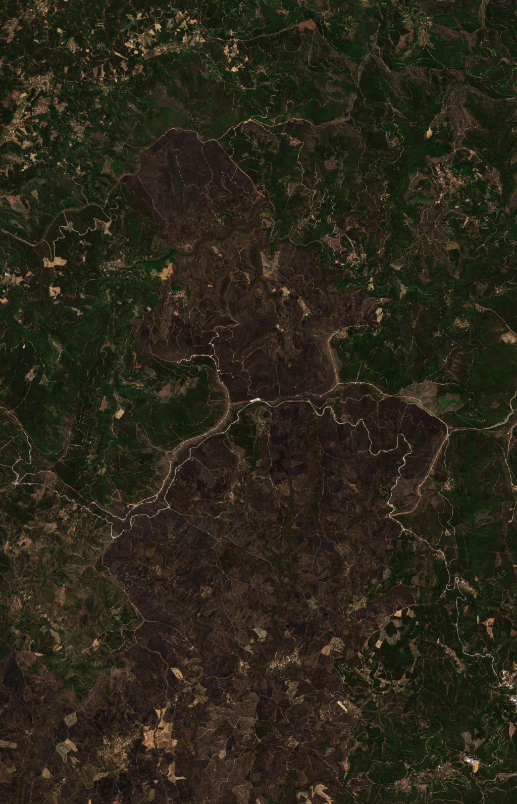 The area after the fire, July 4, 2017