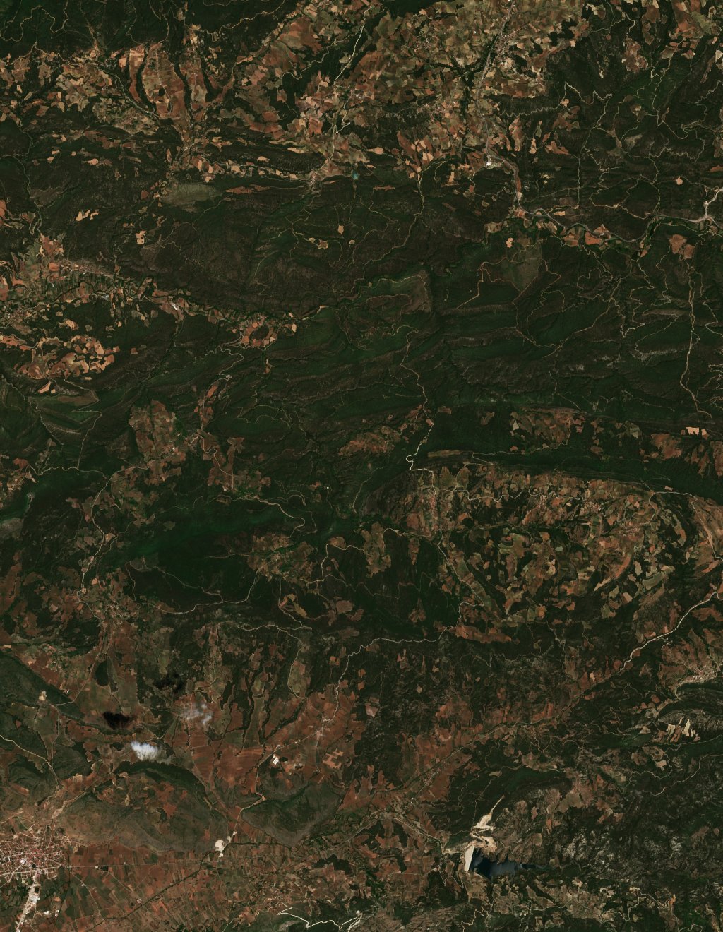 The area before the fire, June 17, 2025