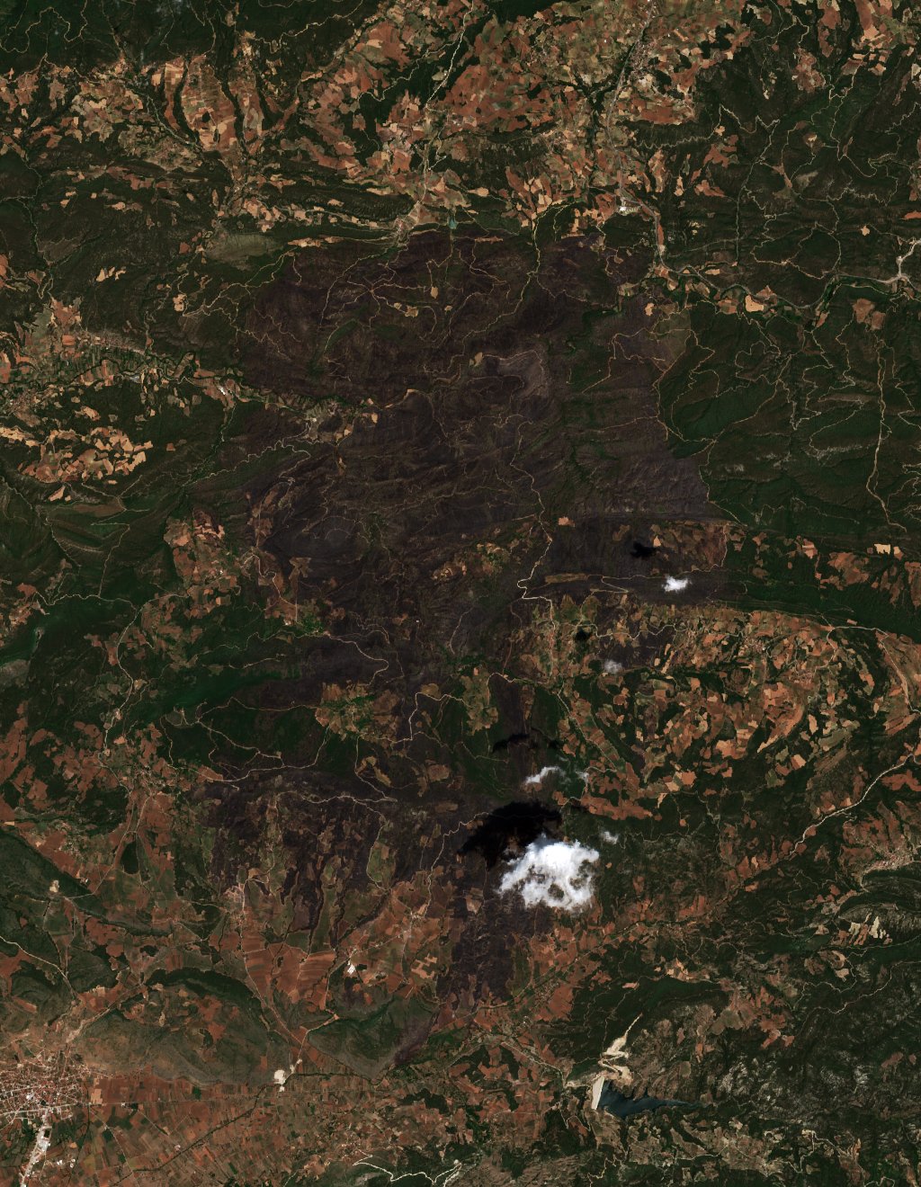 The area after the fire, July 2, 2025