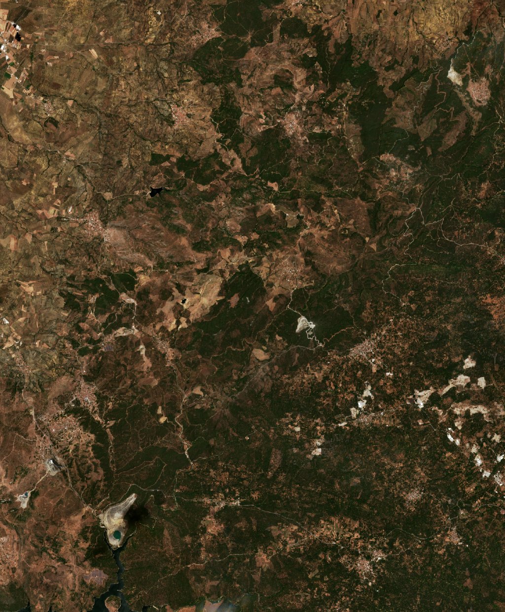 Sentinel-2 images