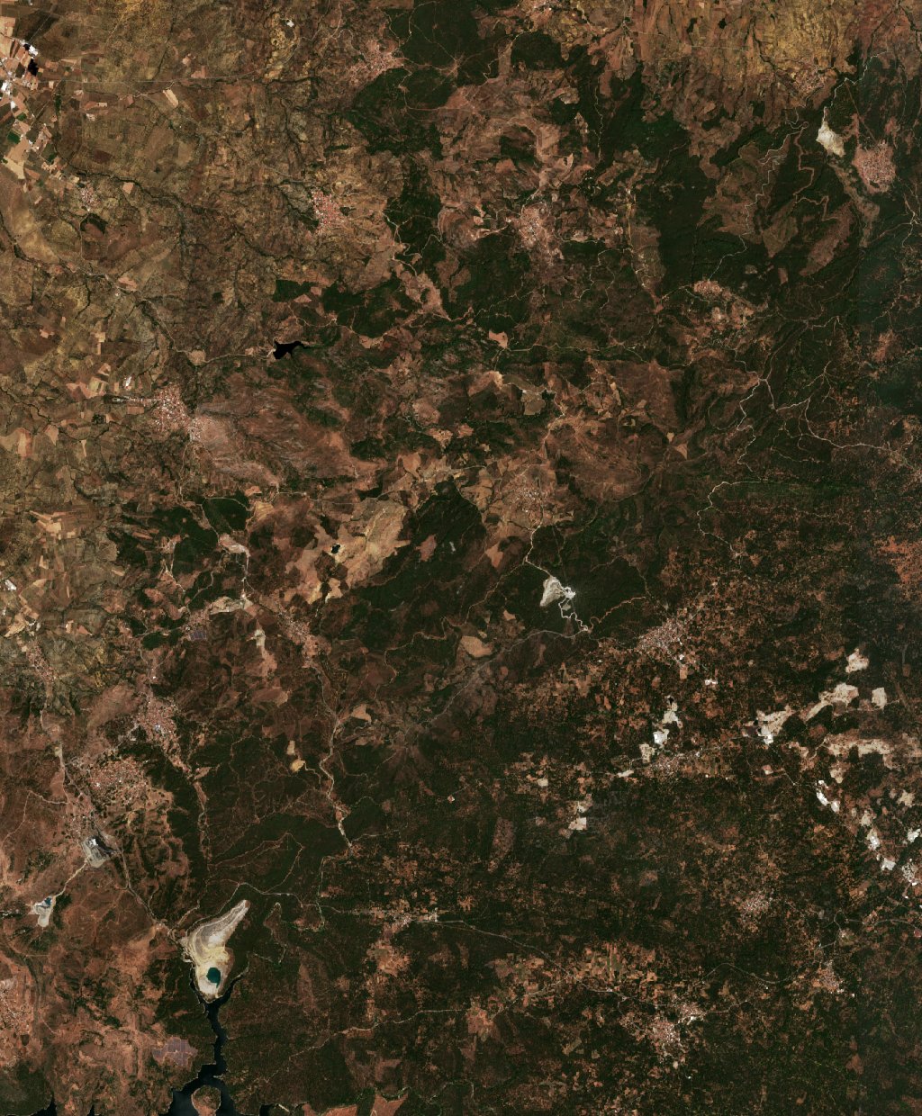 The area before the fire, July 20, 2026