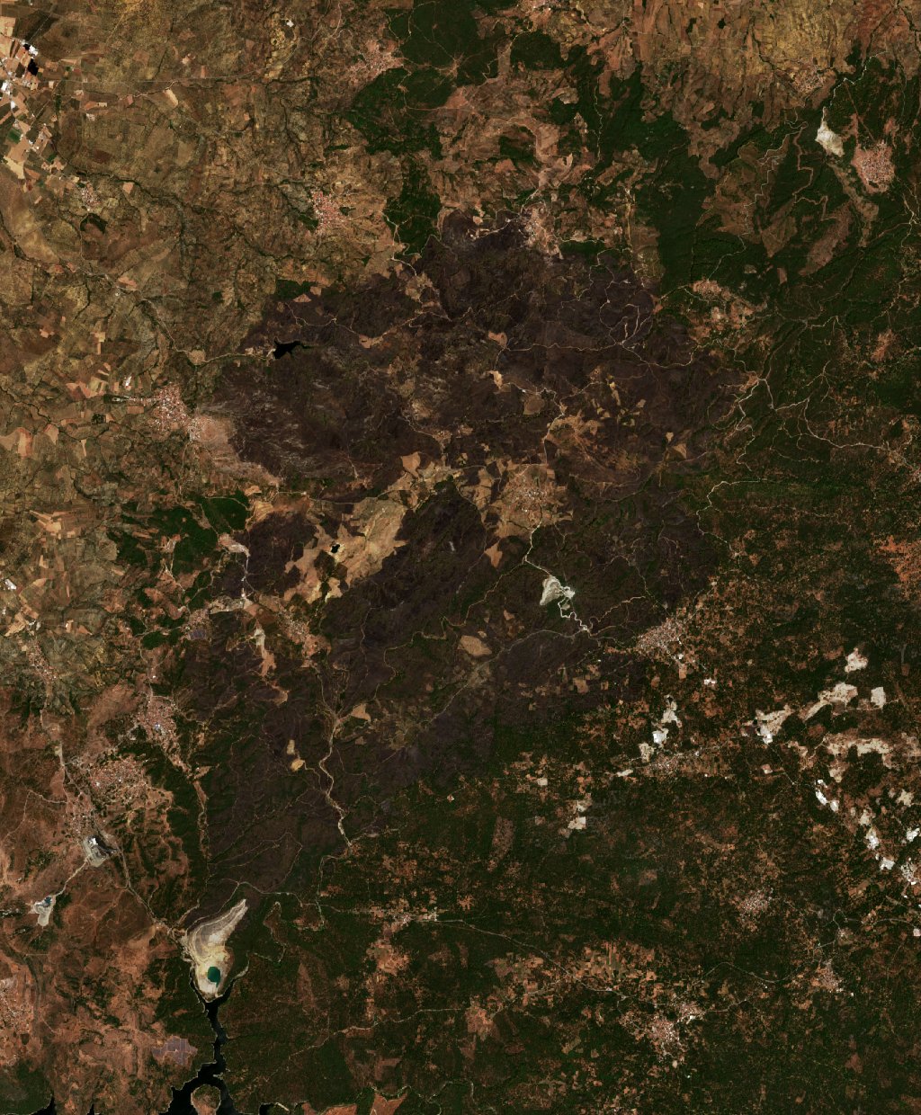 The area after the fire, August 4, 2026