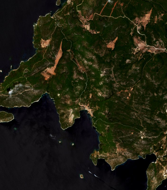 The area before the fire, August 7, 2026