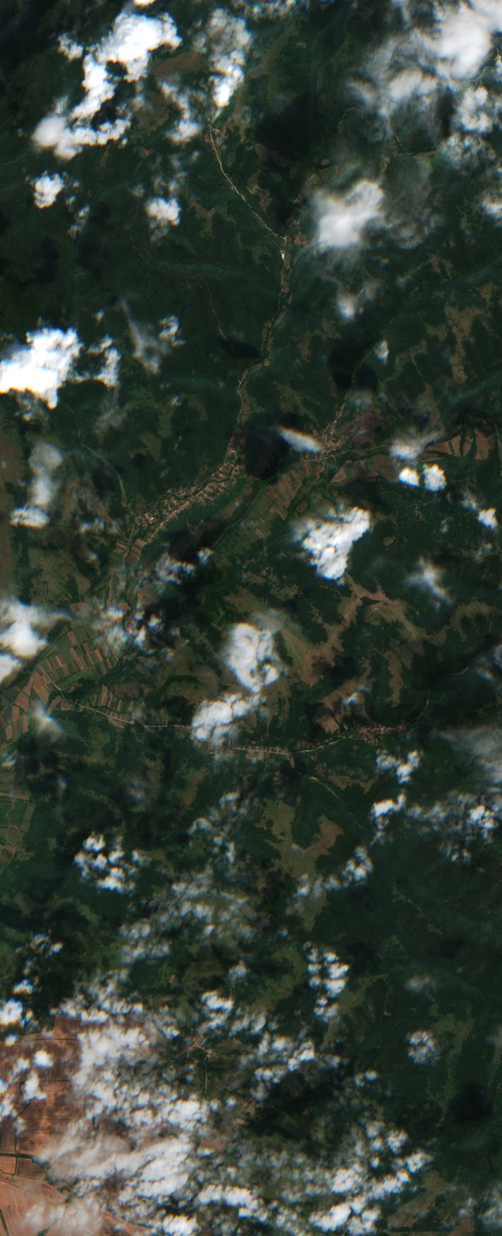 Sentinel-2 images