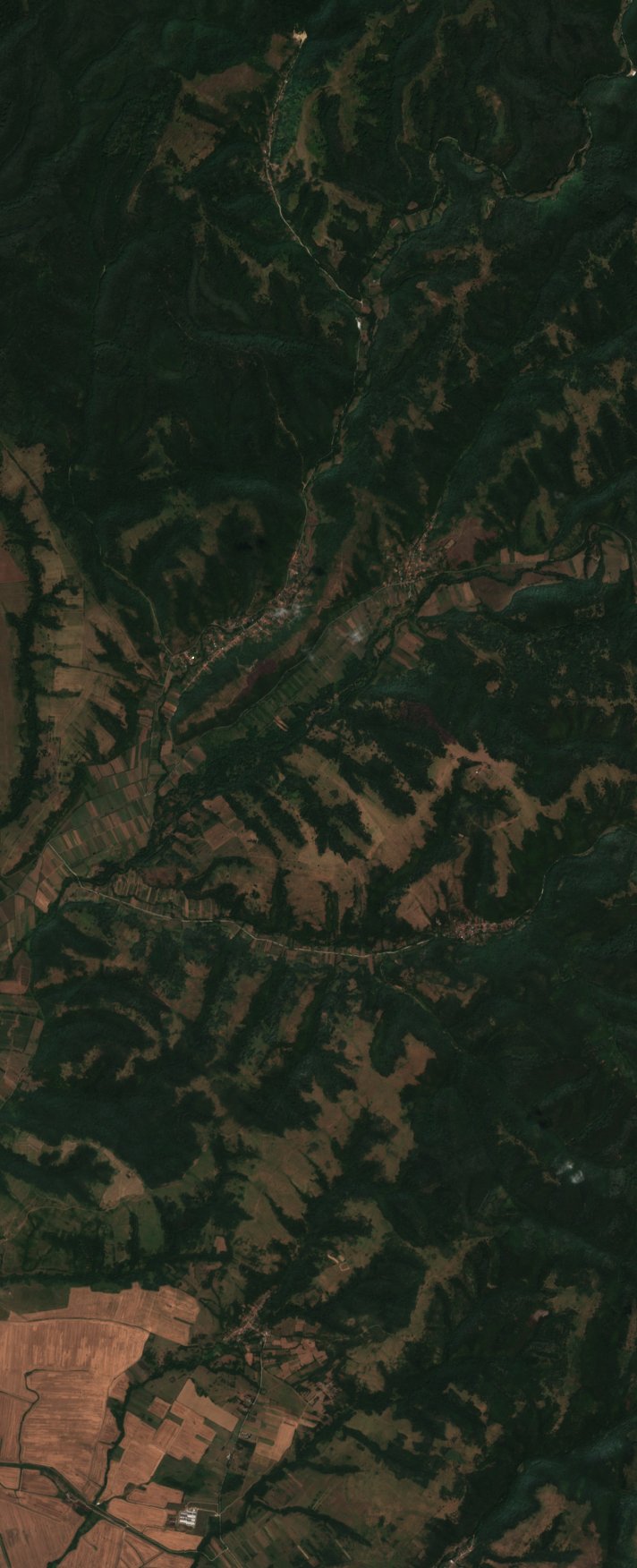 The area before the fire, August 8, 2026