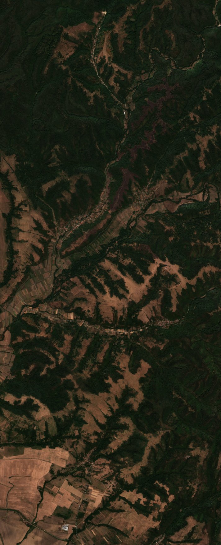 The area after the fire, September 7, 2026