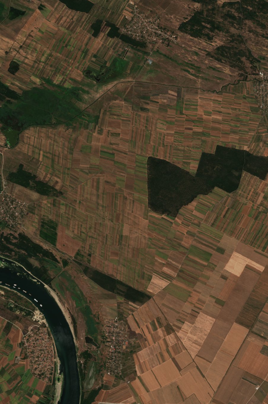 Sentinel-2 images