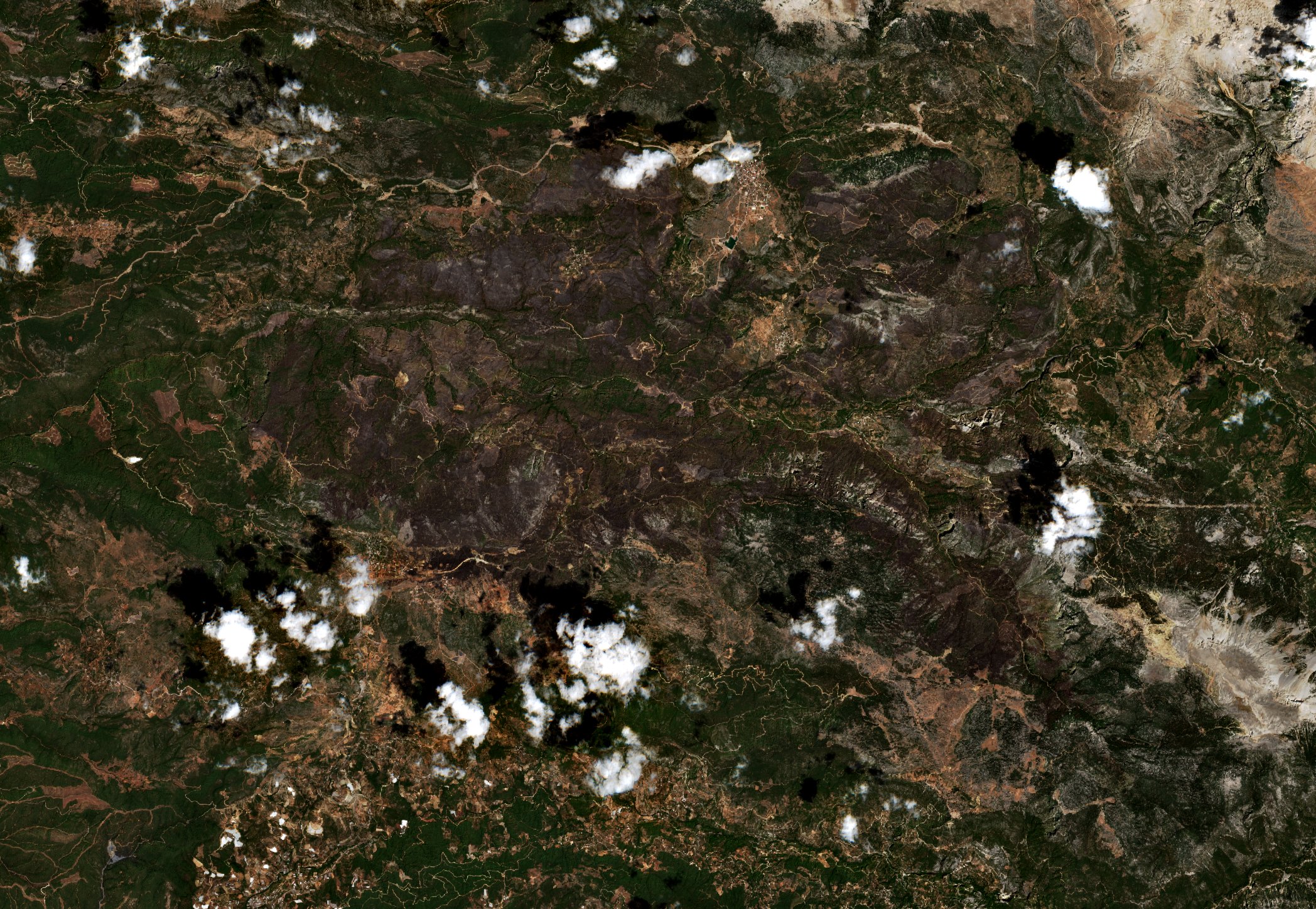 The area after the fire, August 9, 2021