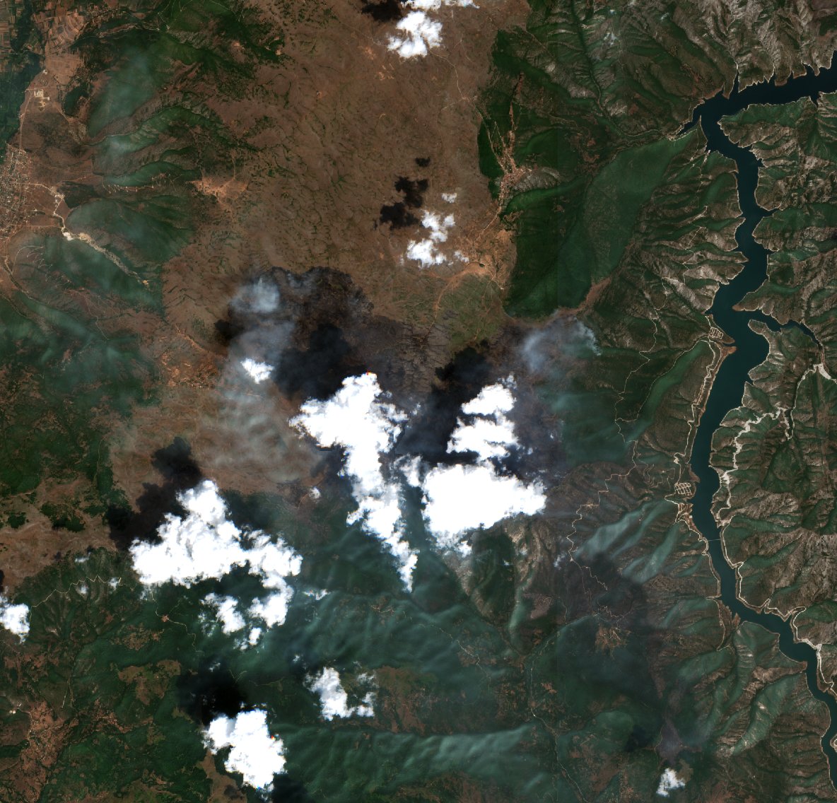 The area after the fire, August 10, 2017