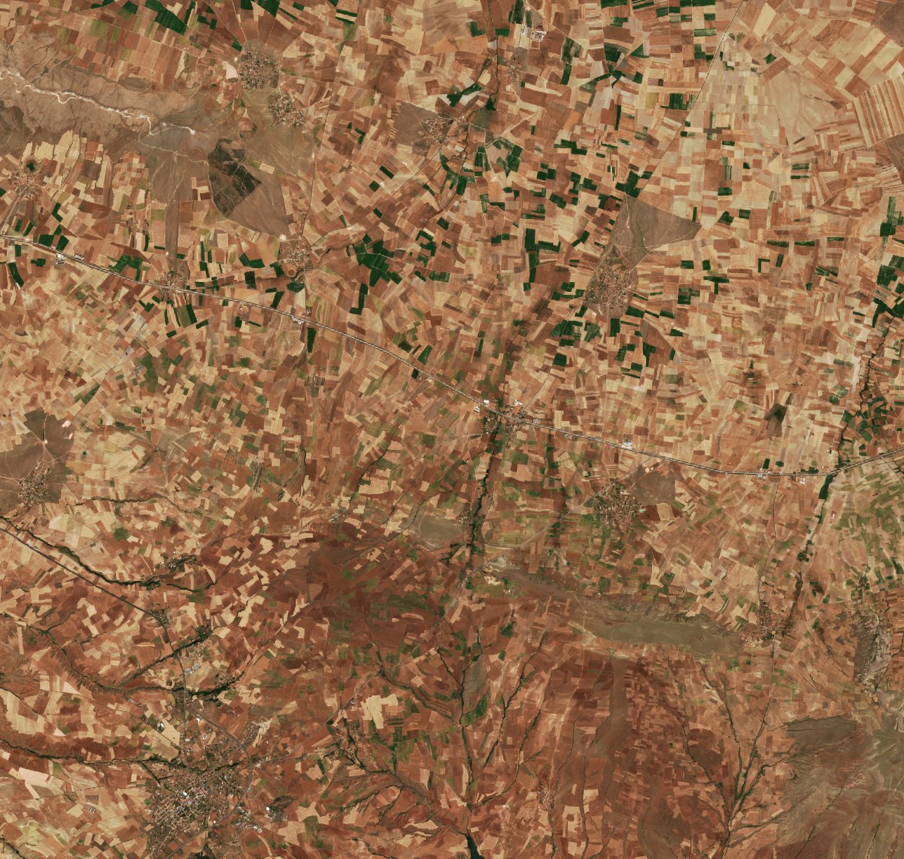 Sentinel-2 images