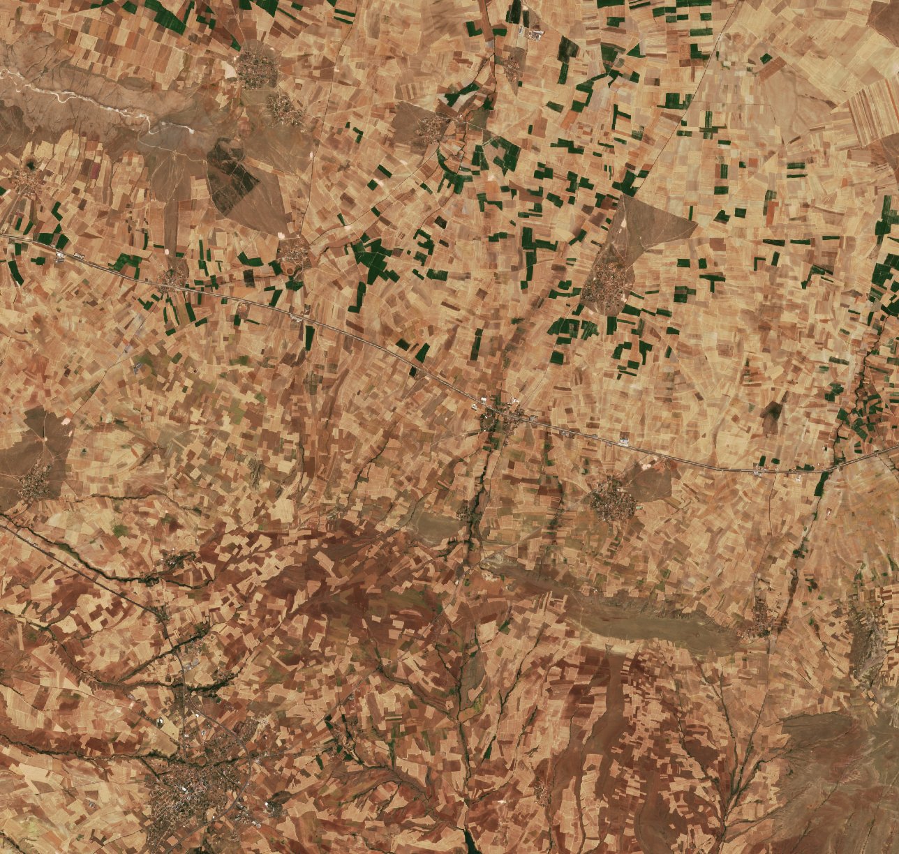 The area before the fire, July 28, 2026