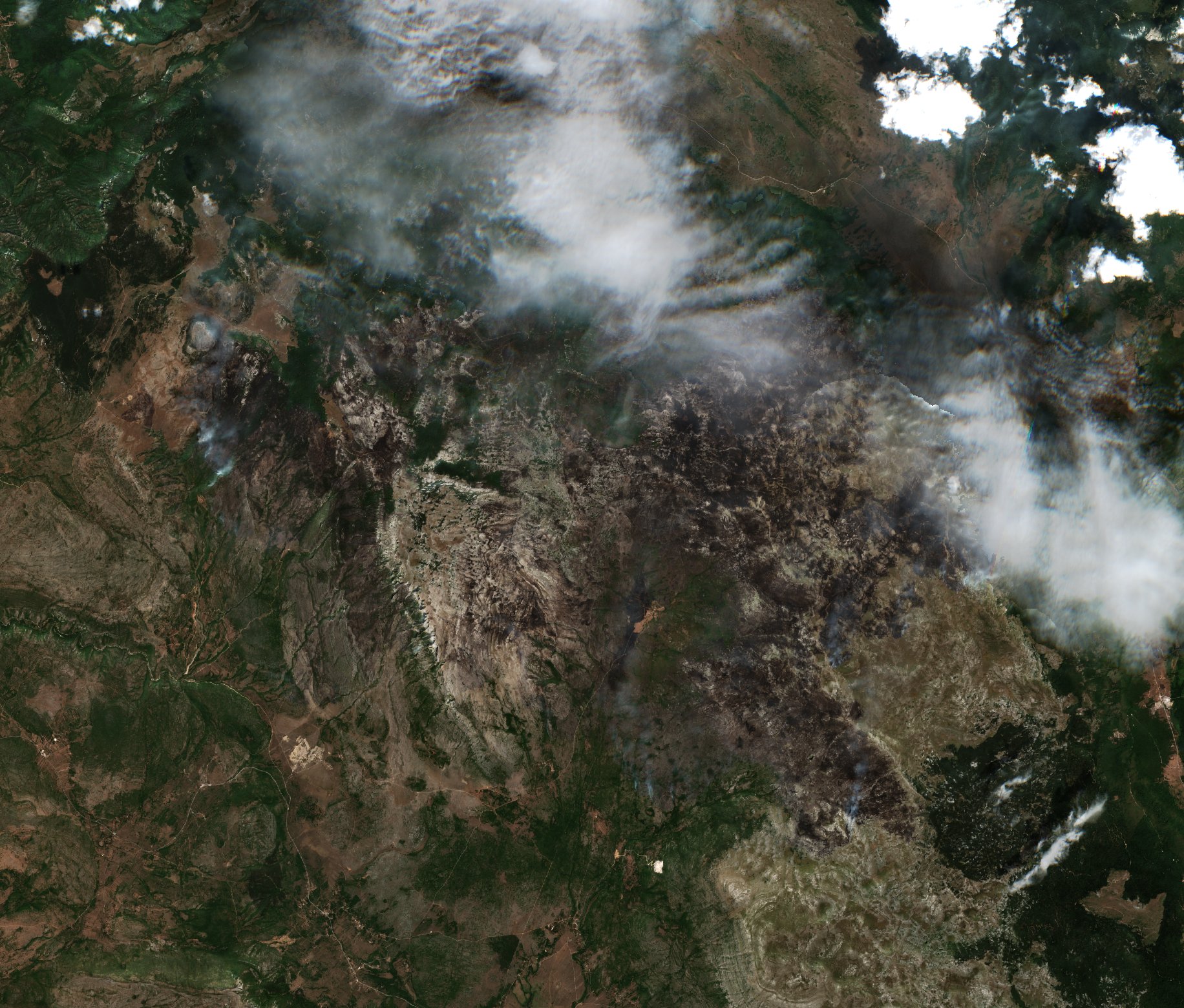 The area after the fire, August 21, 2026