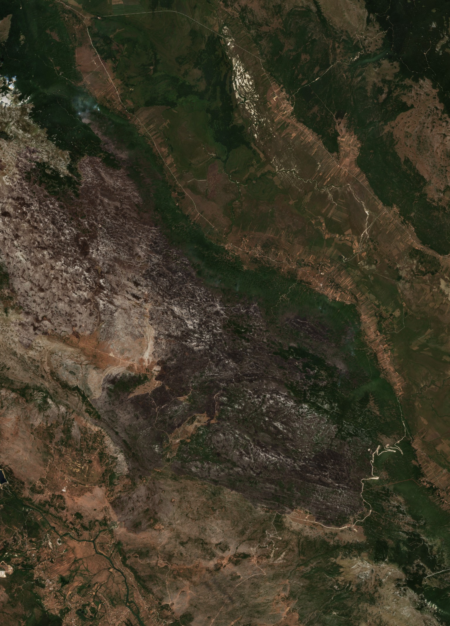 The area after the fire, August 11, 2017
