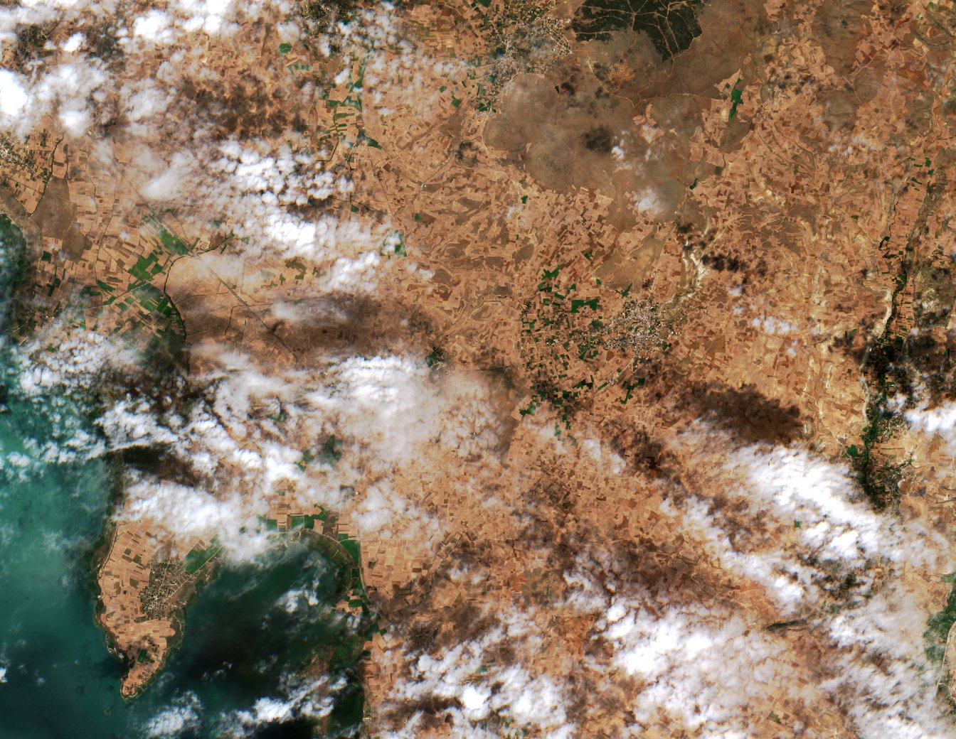 Sentinel-2 images