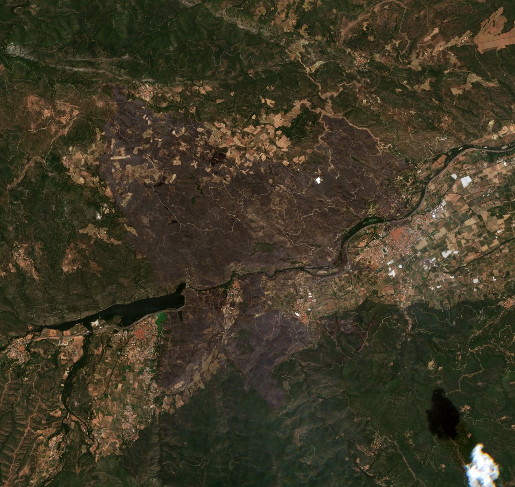 The area after the fire, July 15, 2026