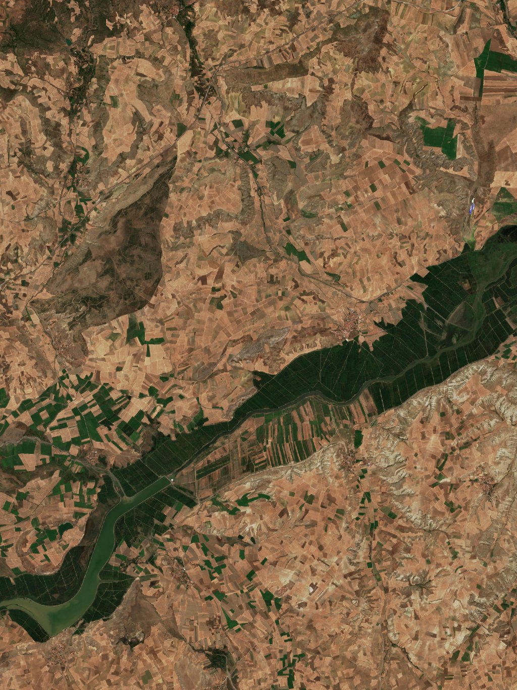 Sentinel-2 images