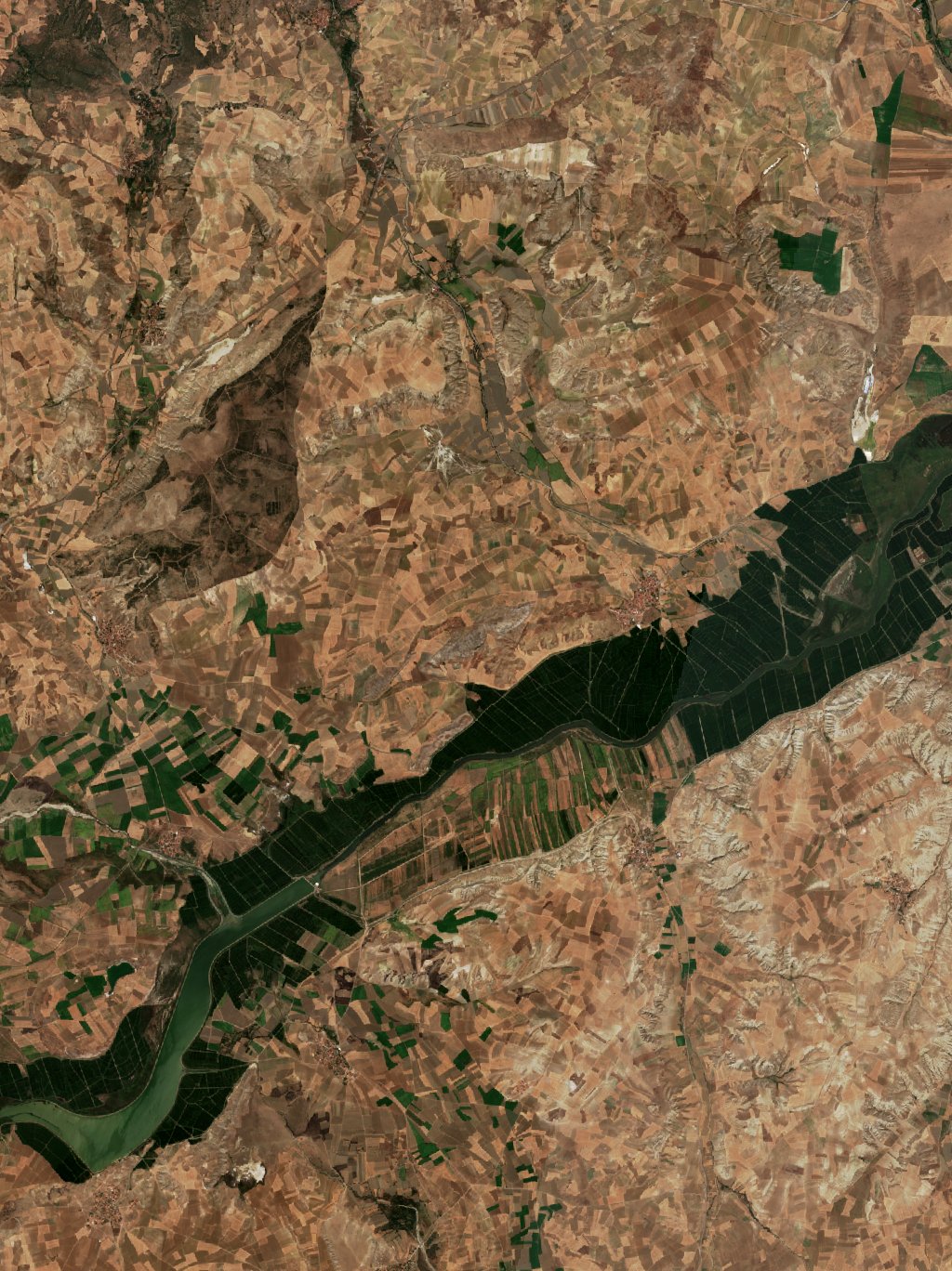 The area before the fire, August 20, 2026