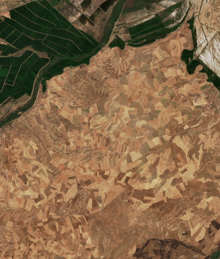 The area before the fire, August 15, 2026
