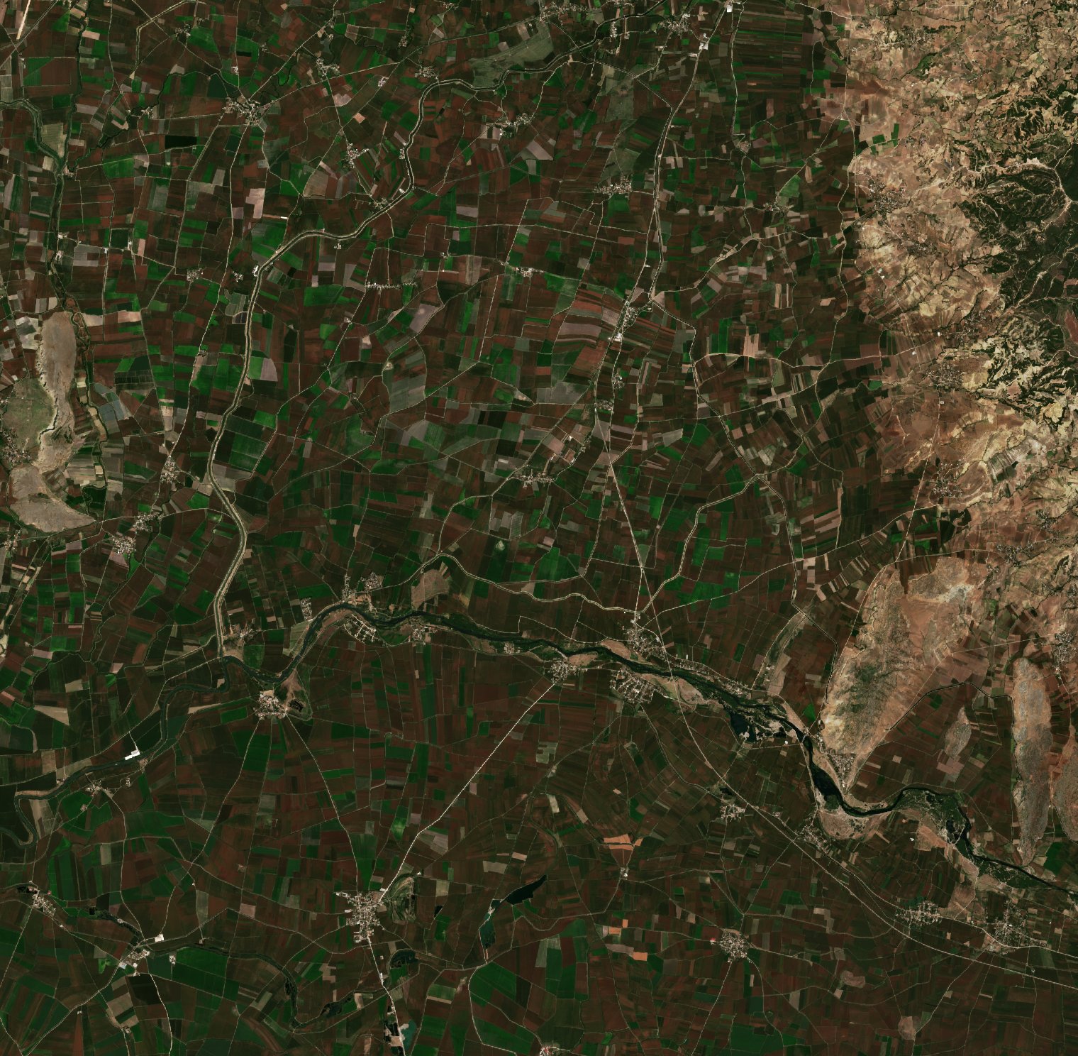 Sentinel-2 images
