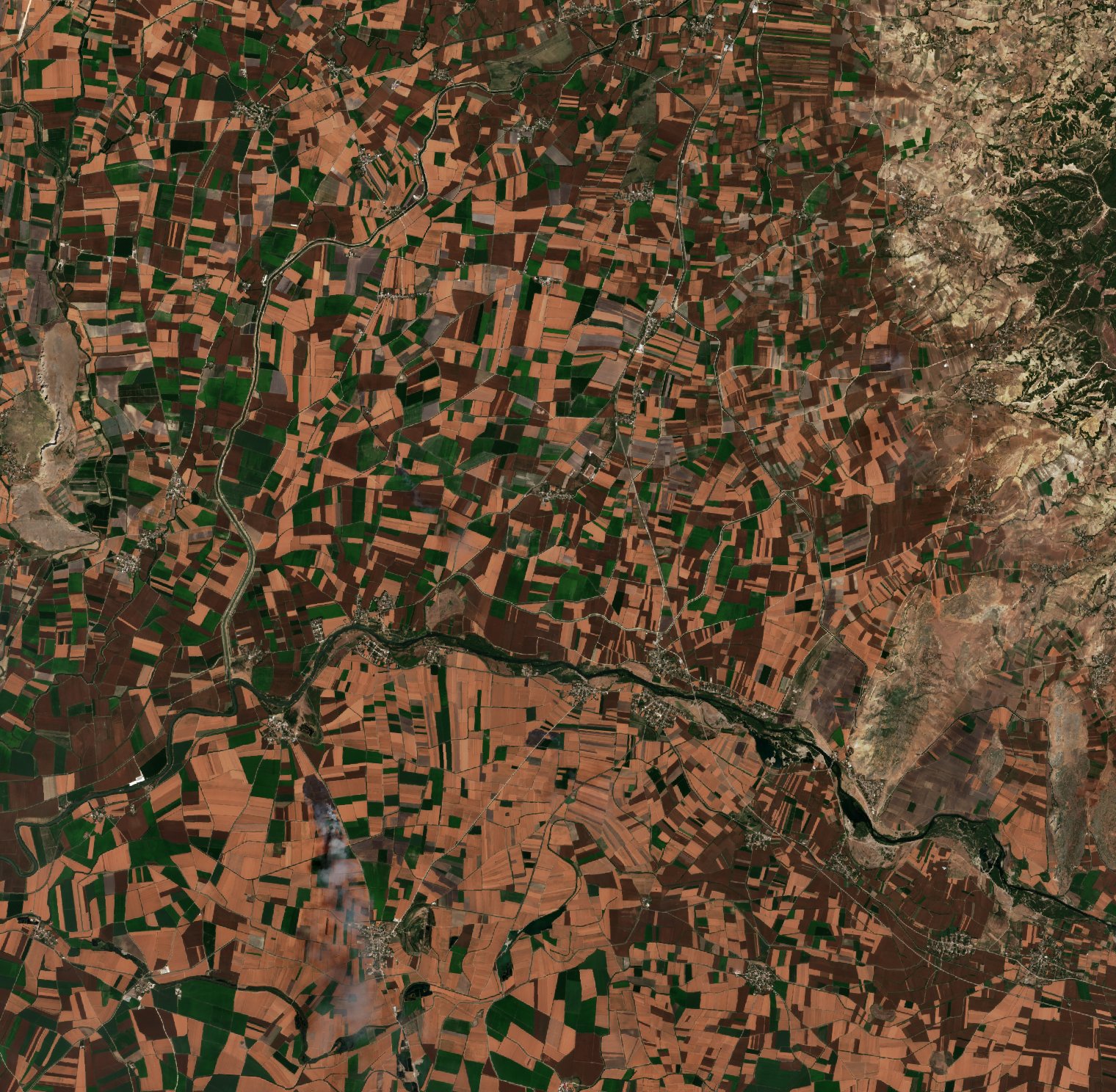 The area before the fire, August 9, 2018