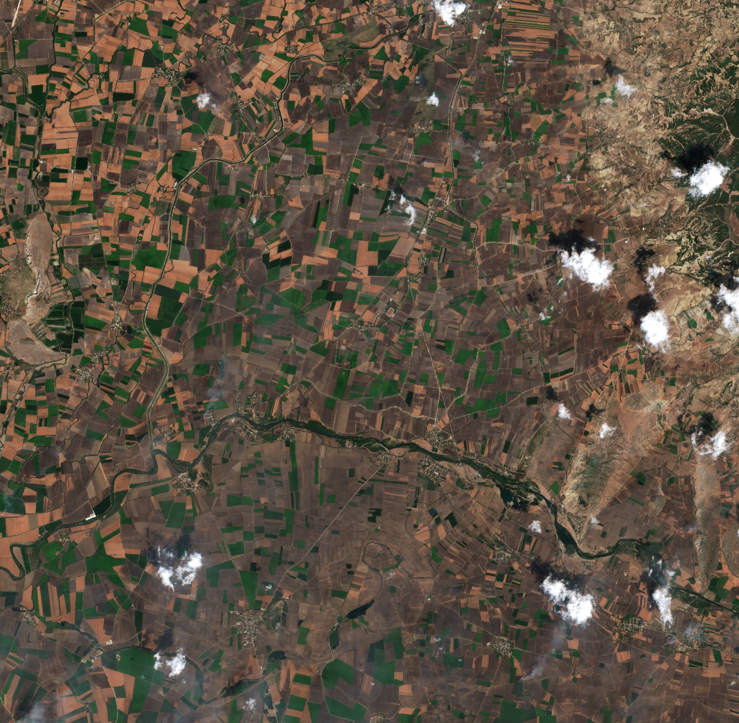The area after the fire, August 19, 2018