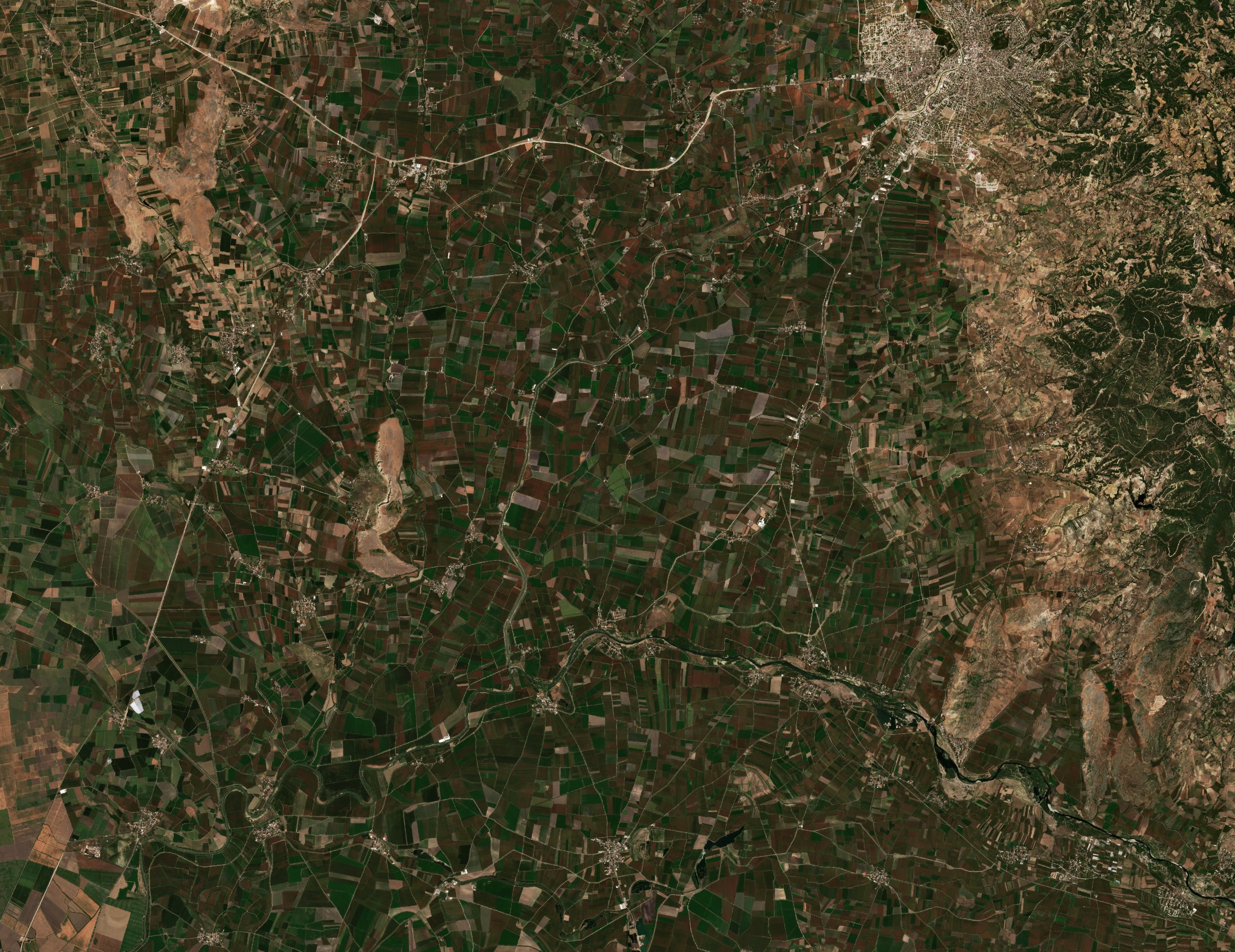 The area before the fire, August 4, 2026