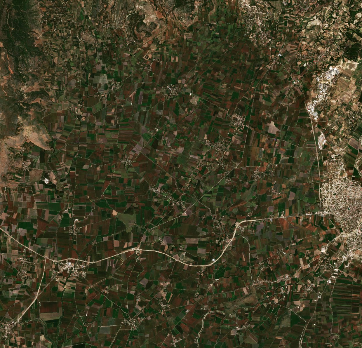 Sentinel-2 images